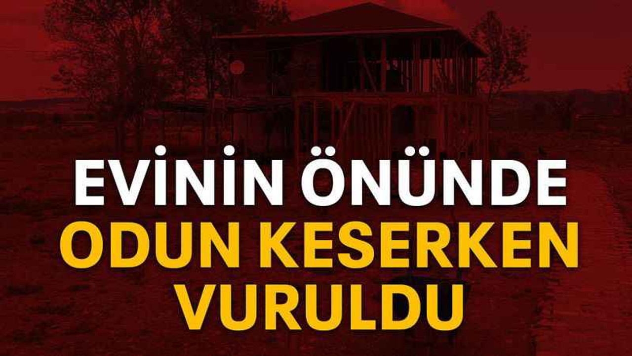 Evinin önünde odun keserken vuruldu